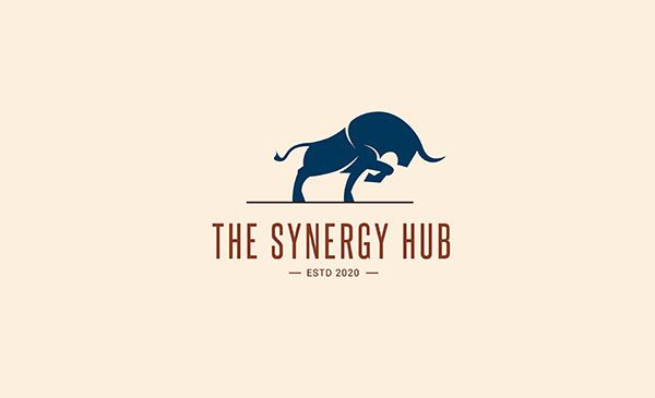 The Synergy Hub