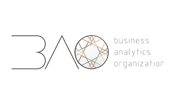 Business Analytics Organization